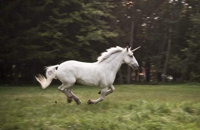 Que signifie rêver de licorne ?