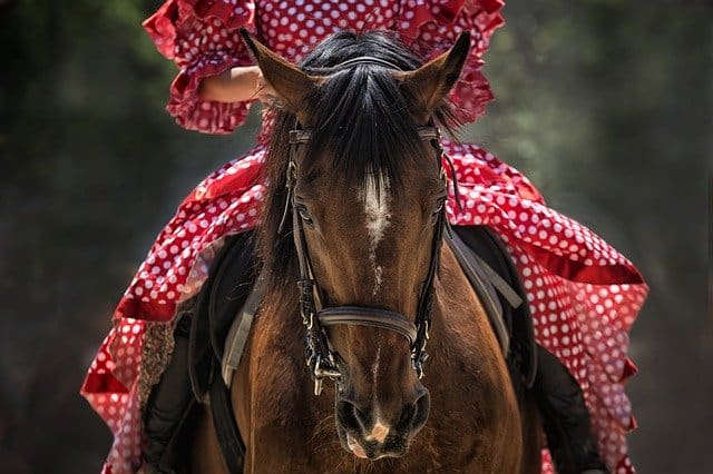 Que signifie rêver d'équitation ?