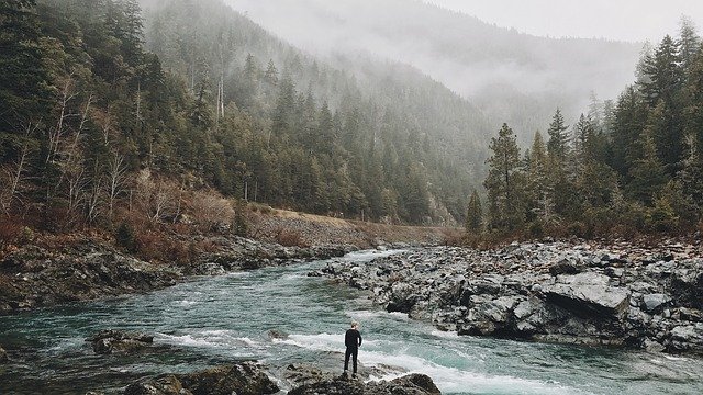 Que signifie rêver de sauvage ?