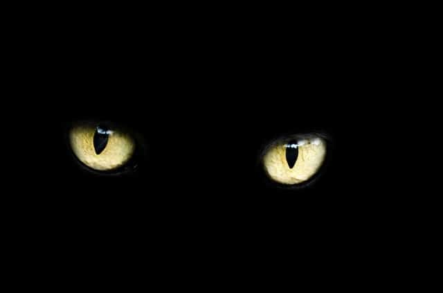 Que signifie rêver de superstition ?