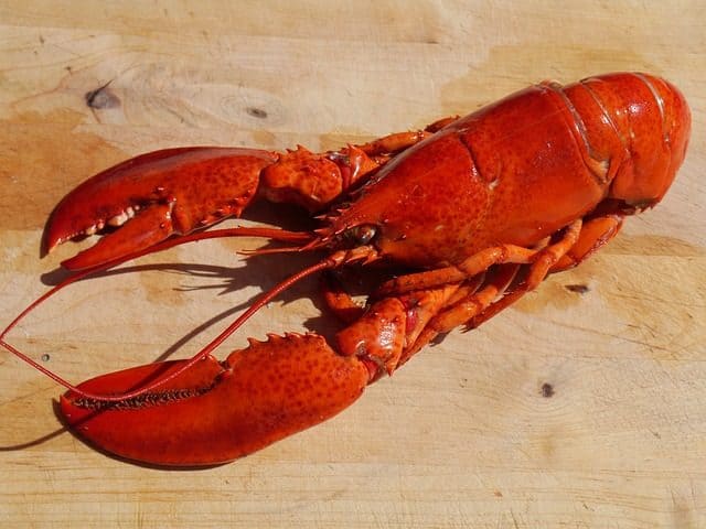 Pourquoi rêver de homard ?