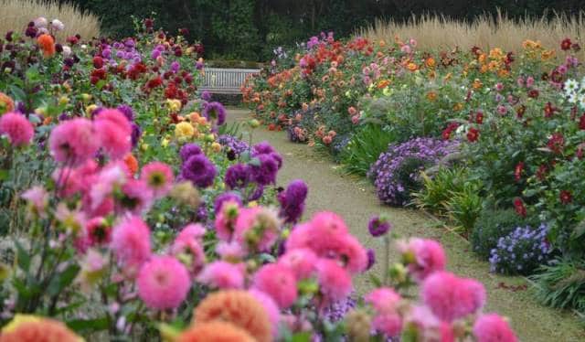 Que signifie rêver de parterre de fleurs ?